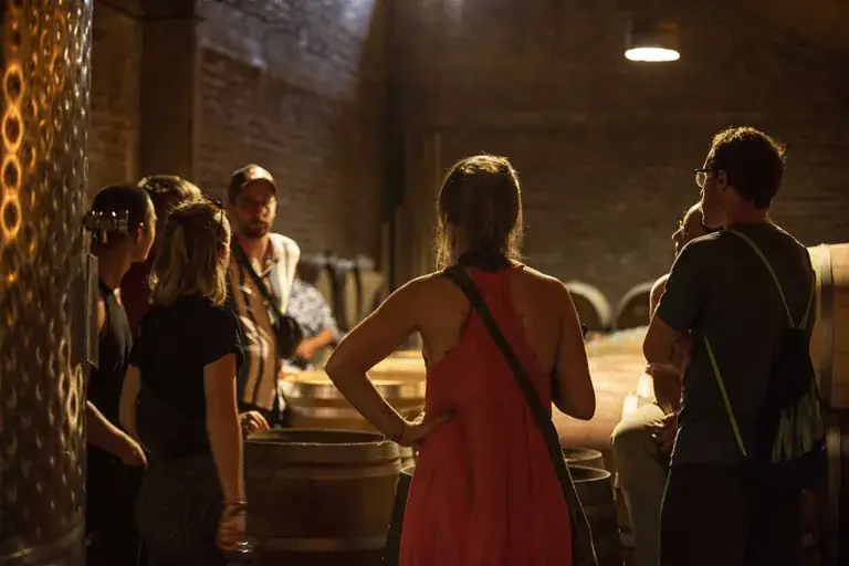 A guided tasting in the Aquitania cellar
