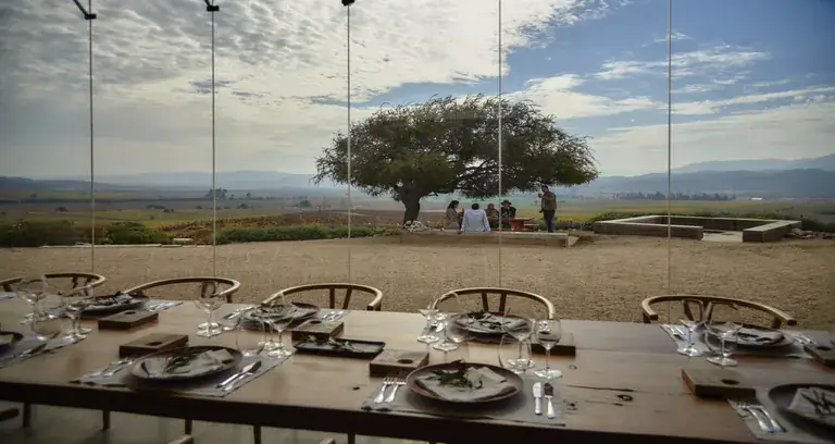 A lunch table facing the vineyard at Casas del Bosque