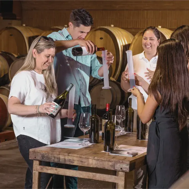 Blending your own wine with the winemakers in the barrel room at Casas del Bosque