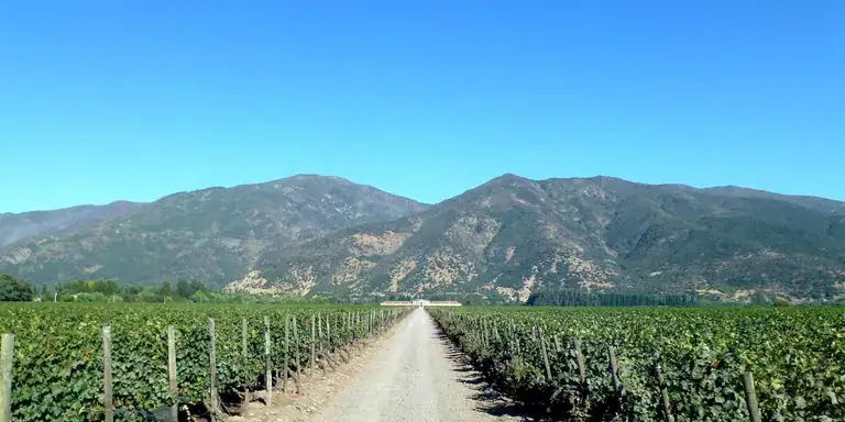 Vineyards and mountains of the Colchagua Valley