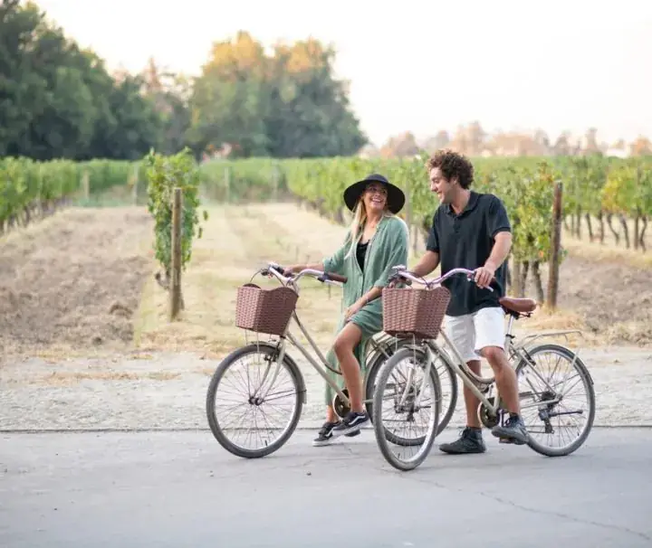 Two visitors cycling among the vines at Cousiño Macul, Santiago
