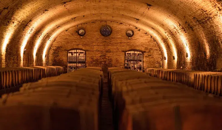 The vaulted 19th-century cellar of Viña Cousiño Macul