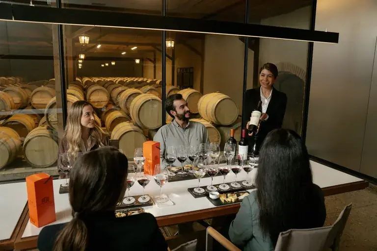 A tasting led by a sommelier in the Concha y Toro cellar room