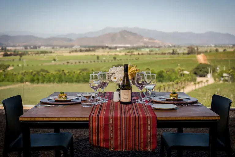 A lunch table set among the Kingston vineyards in Casablanca