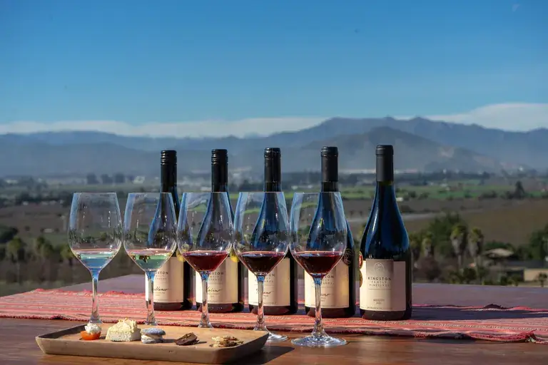 A tasting of Kingston wines overlooking the Casablanca valley