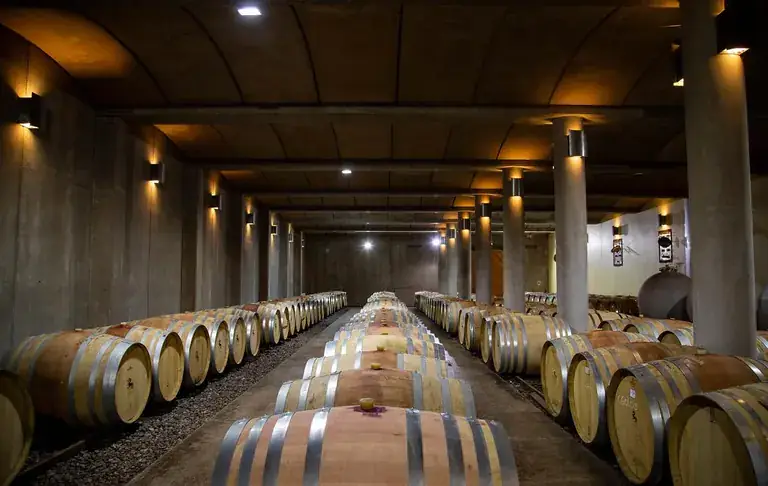 The barrel cellar at Viña Odfjell