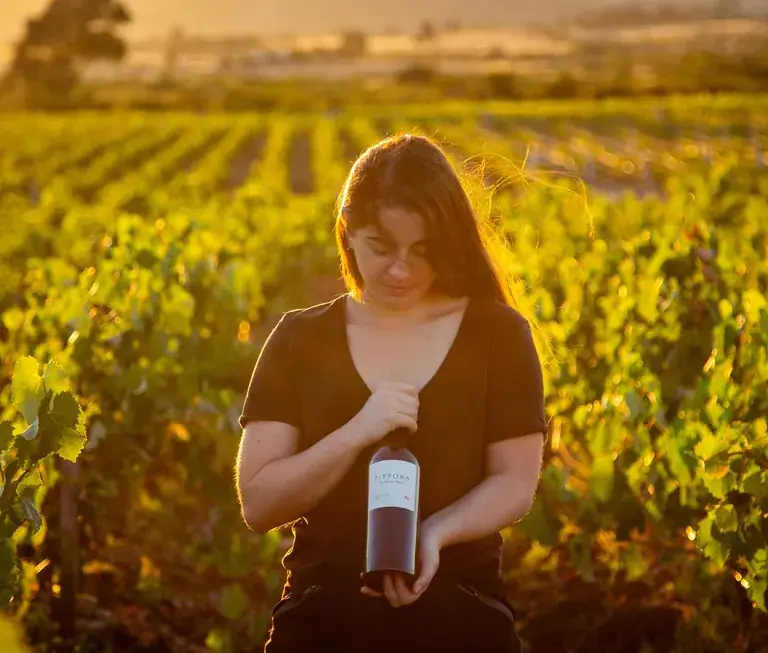 A guest holding a bottle among golden vines at Viña Odfjell