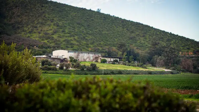 The Viña Odfjell winery at the foot of the hills in Padre Hurtado