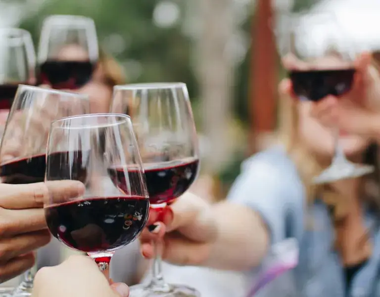 Friends raising glasses of red wine at Viña Odfjell