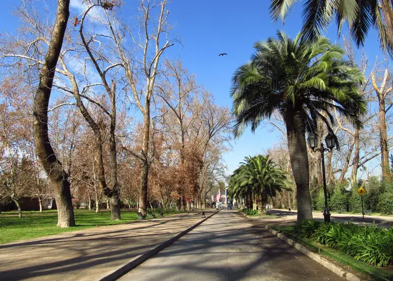 The tree-lined entrance to Quinta Normal park