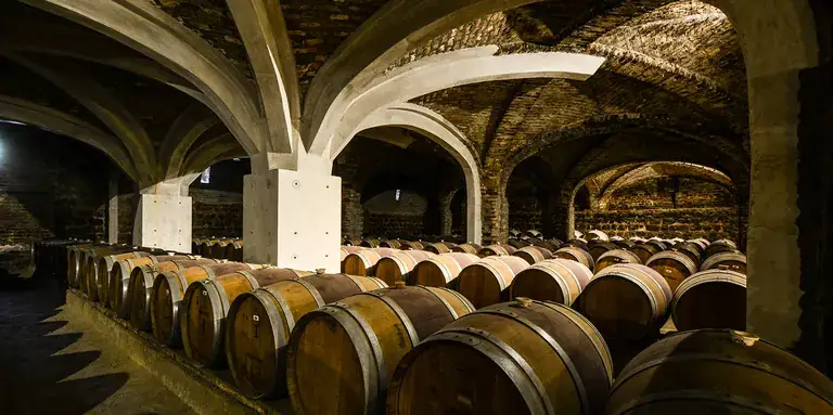 The vaulted barrel cellar at Viña Santa Rita