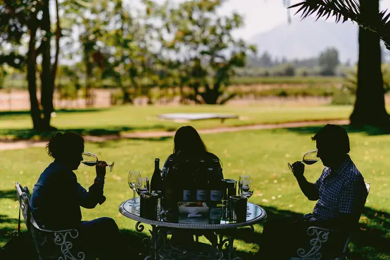 A wine tasting in the shade of the Tarapacá park