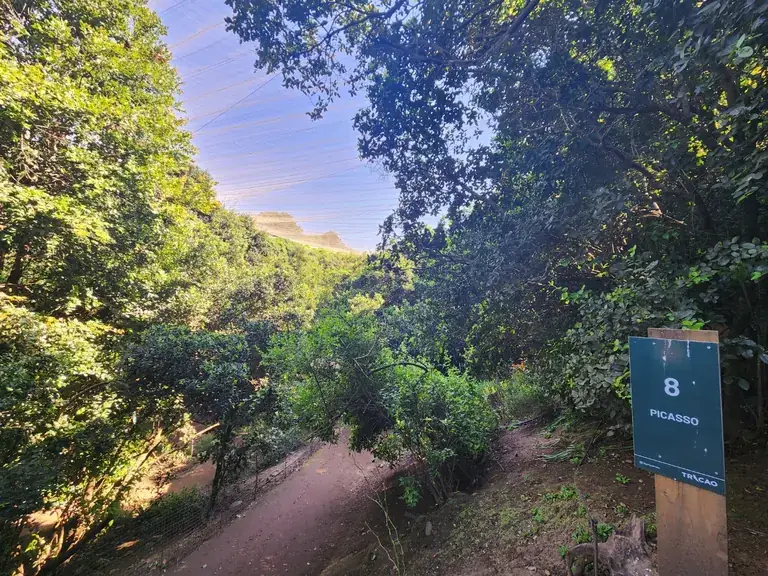 A shaded path in Parque Tricao