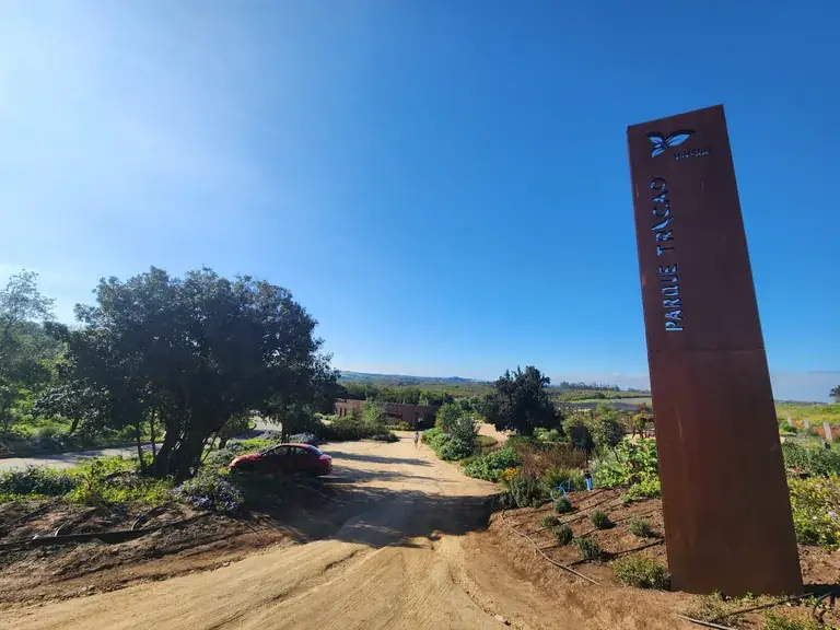 A trail through the native landscape of Parque Tricao