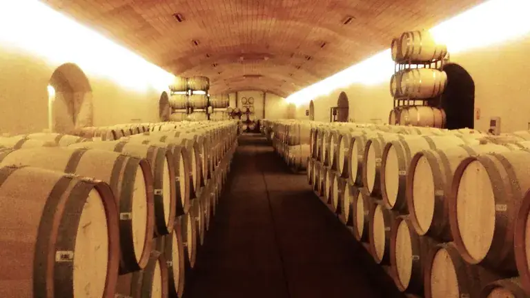 Rows of wine barrels in a Santiago cellar