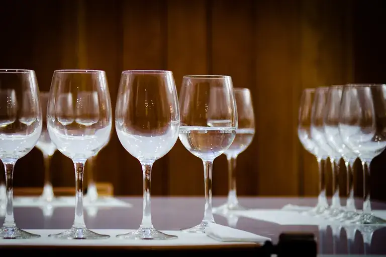 Wine glasses lined up for a tasting